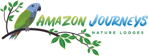 Amazon Eco Lodge