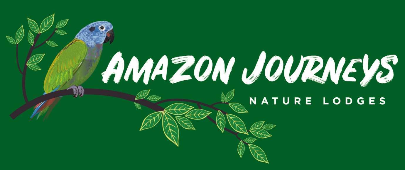 Amazon Eco Lodge