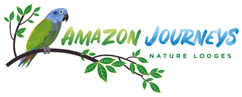Amazonecolodge
