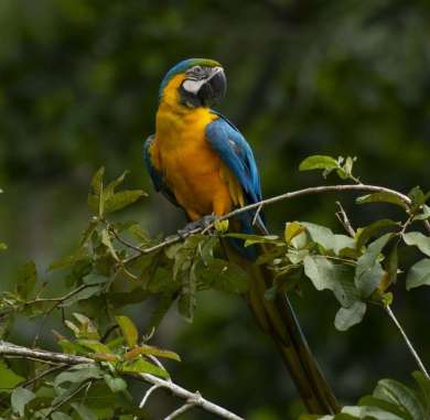 similar photography tours