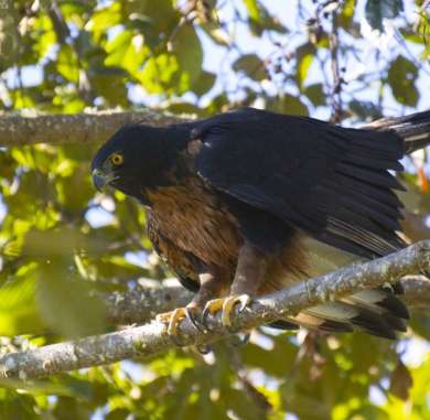 similar tours fotografia