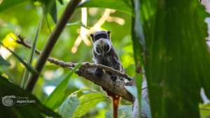 photografy tours home