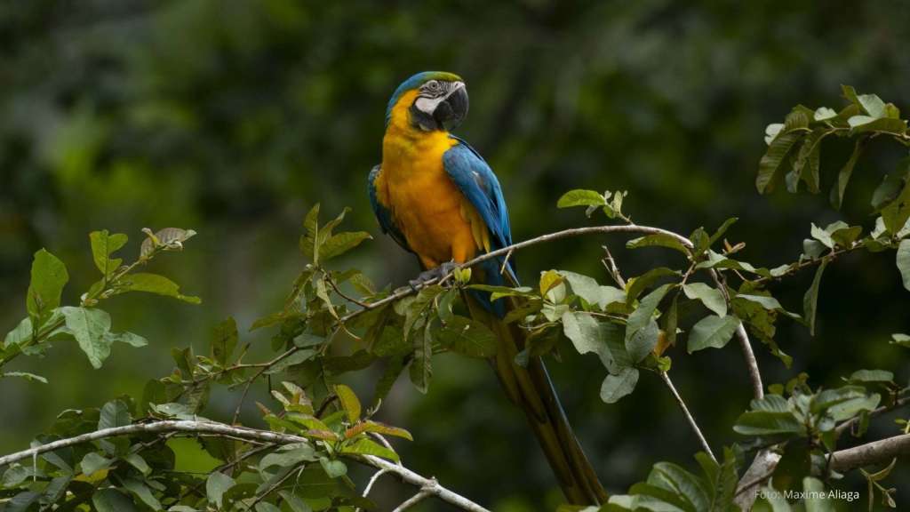 similar tours fotografia