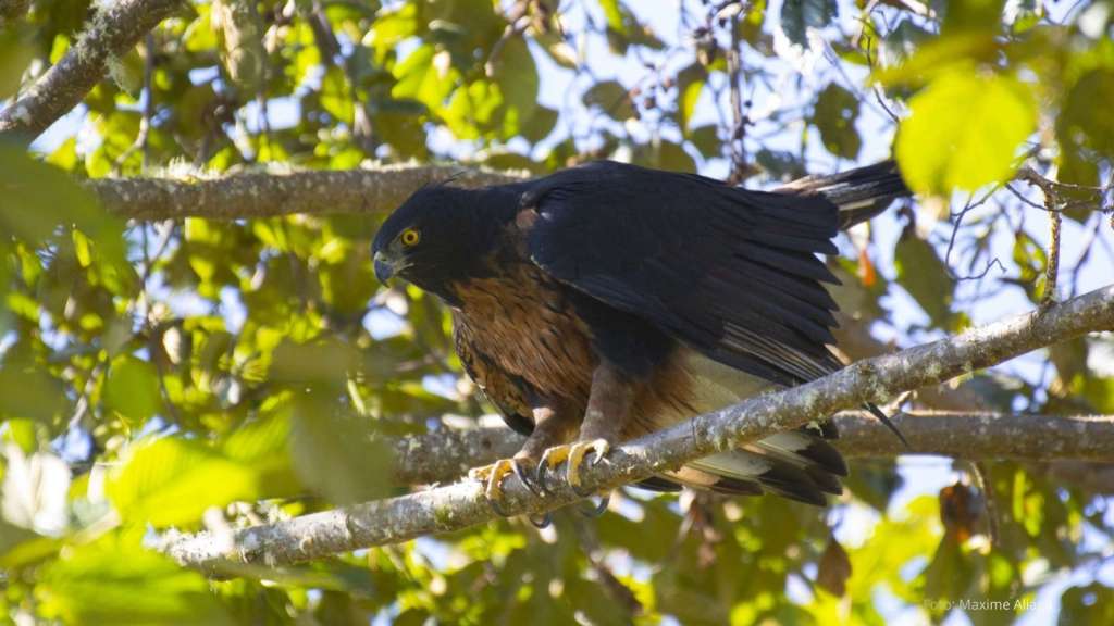 similar tours fotografia