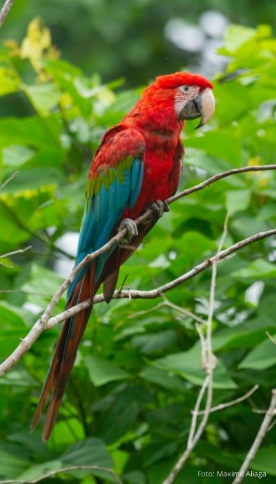 visita nuestros albergues home