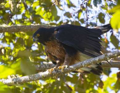 similar tours fotografia